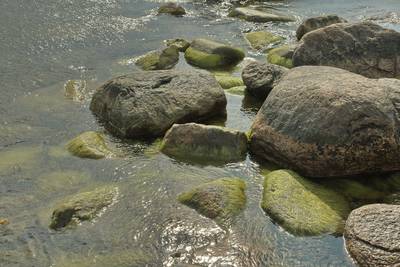 Музей на открытом воздухе Виимси (Viimsi vabaõhumuuseum).
