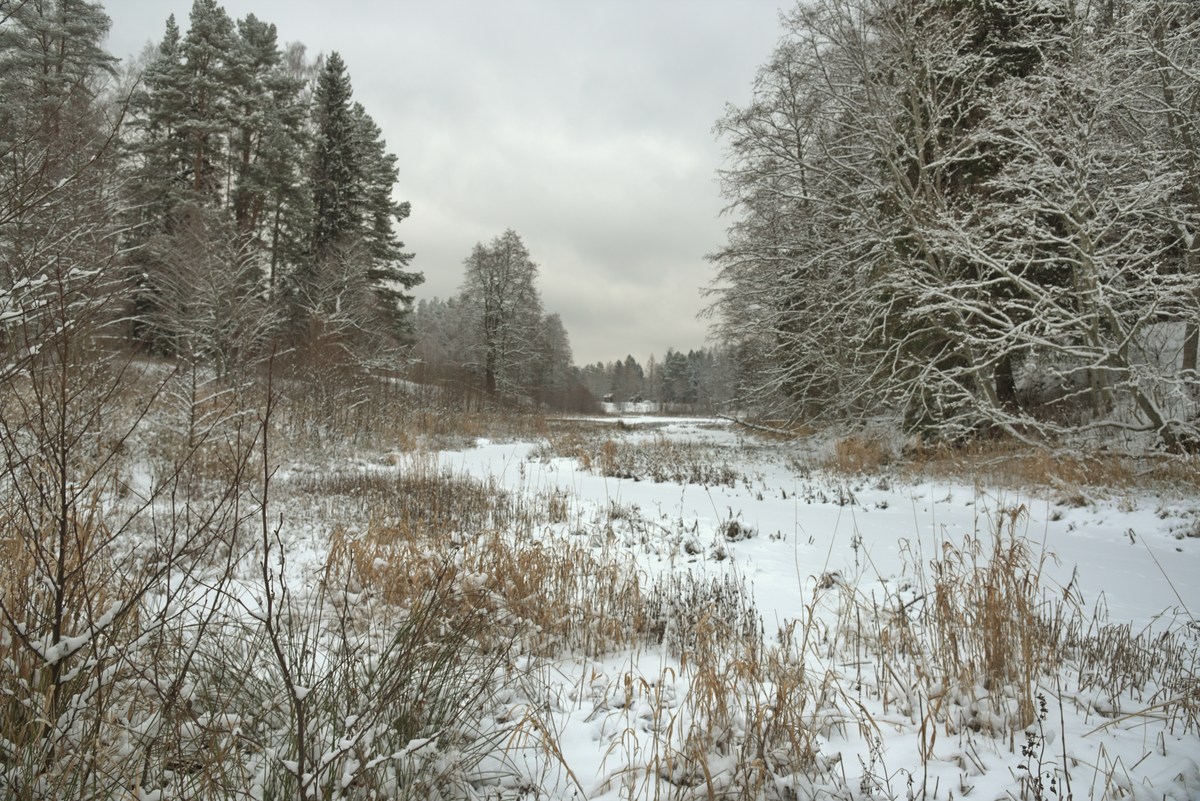  Зимний пикник в Оанду.