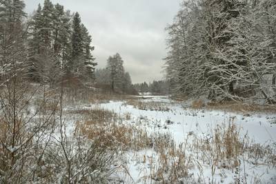 Зимний пикник в Оанду (Oandu telkimisala)