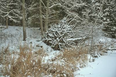 Зимний пикник в Оанду (Oandu telkimisala)