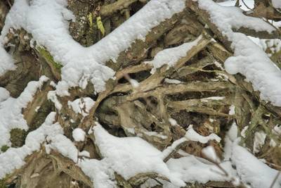 Зимний пикник в Оанду (Oandu telkimisala)