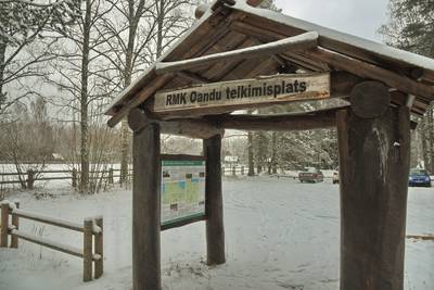 Зимний пикник в Оанду (Oandu telkimisala)