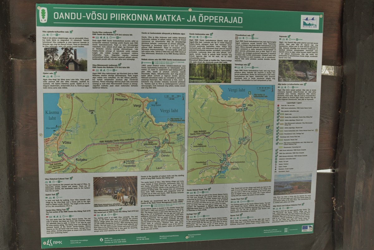  Зимний пикник в Оанду.