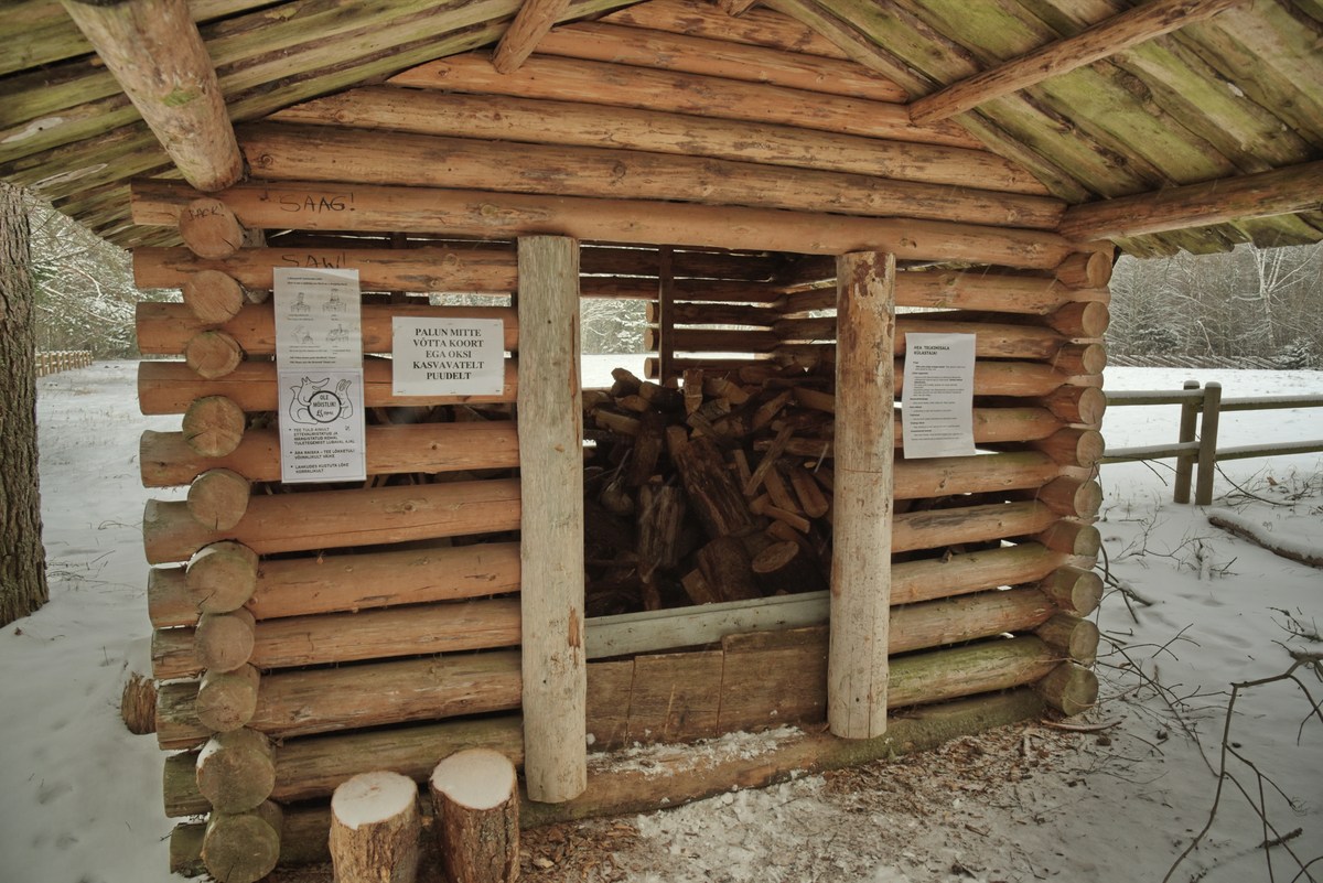 Поленница одна из самых больших. Зимний пикник в Оанду.