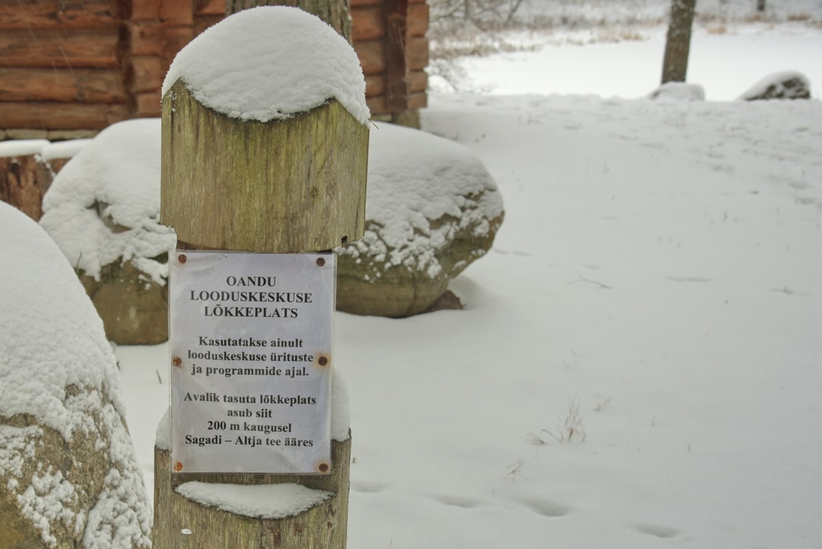  Зимний пикник в Оанду.