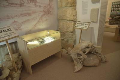 Музей Ярвамаа (Järvamaa Muuseum).