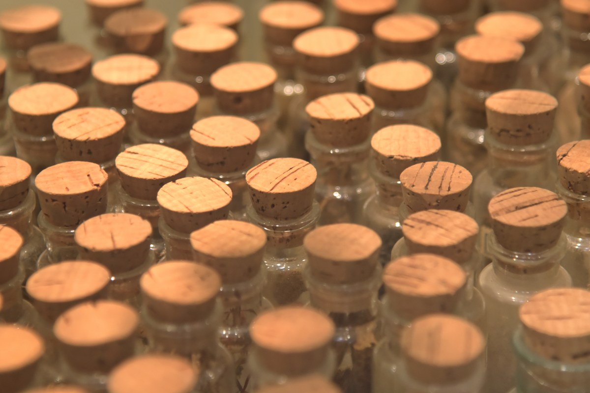 Пробирки и бутылочки.  Музей Ярвамаа.