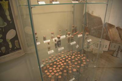 Музей Ярвамаа (Järvamaa Muuseum).