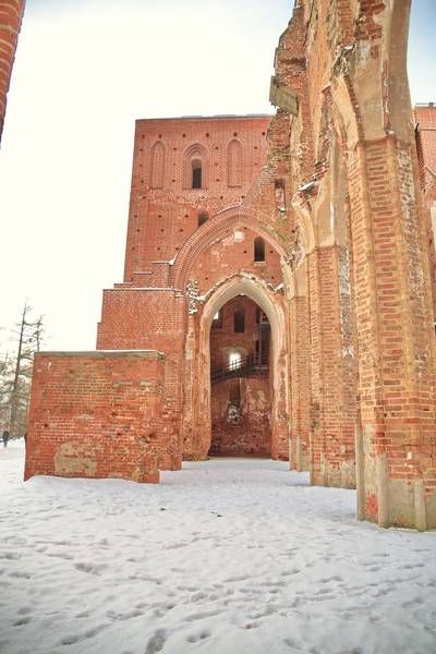 Исторический музей Тартуского университета. Tartu Ülikooli muuseum.