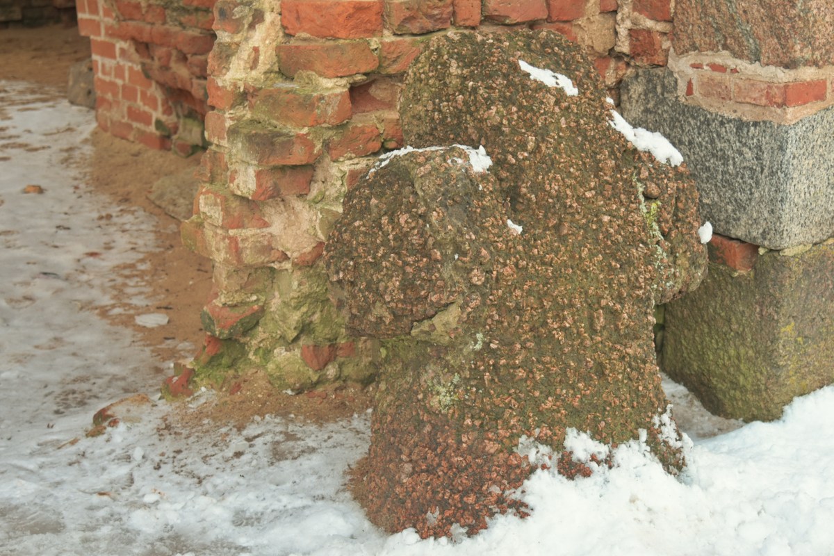  Исторический музей Тартуского университета.