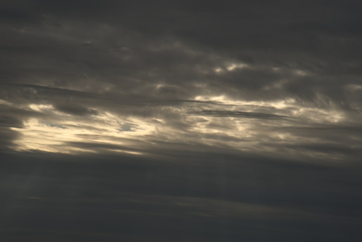  Прогулка по городу Пярну.