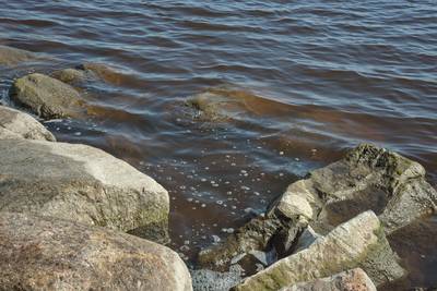 Прогулка по городу Пярну.