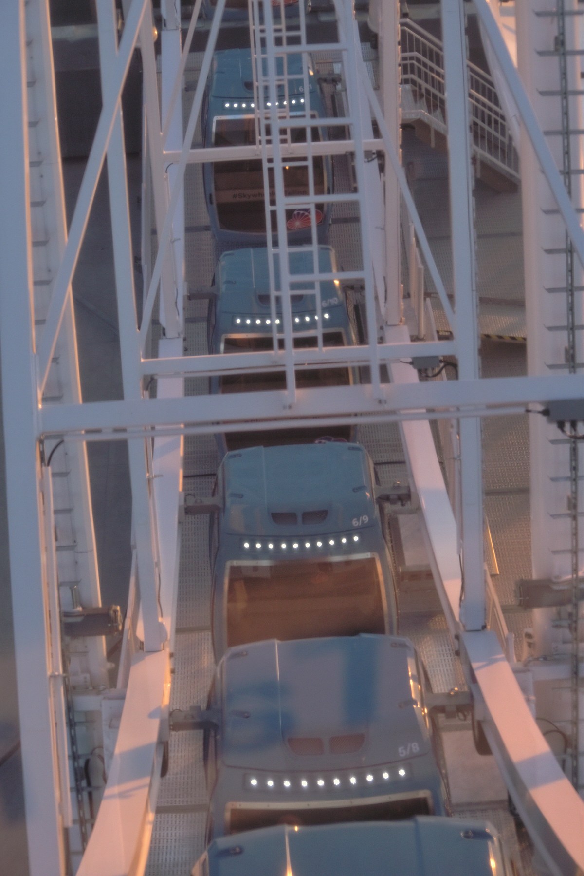  Посещали колесо обозрения на крыше T1.