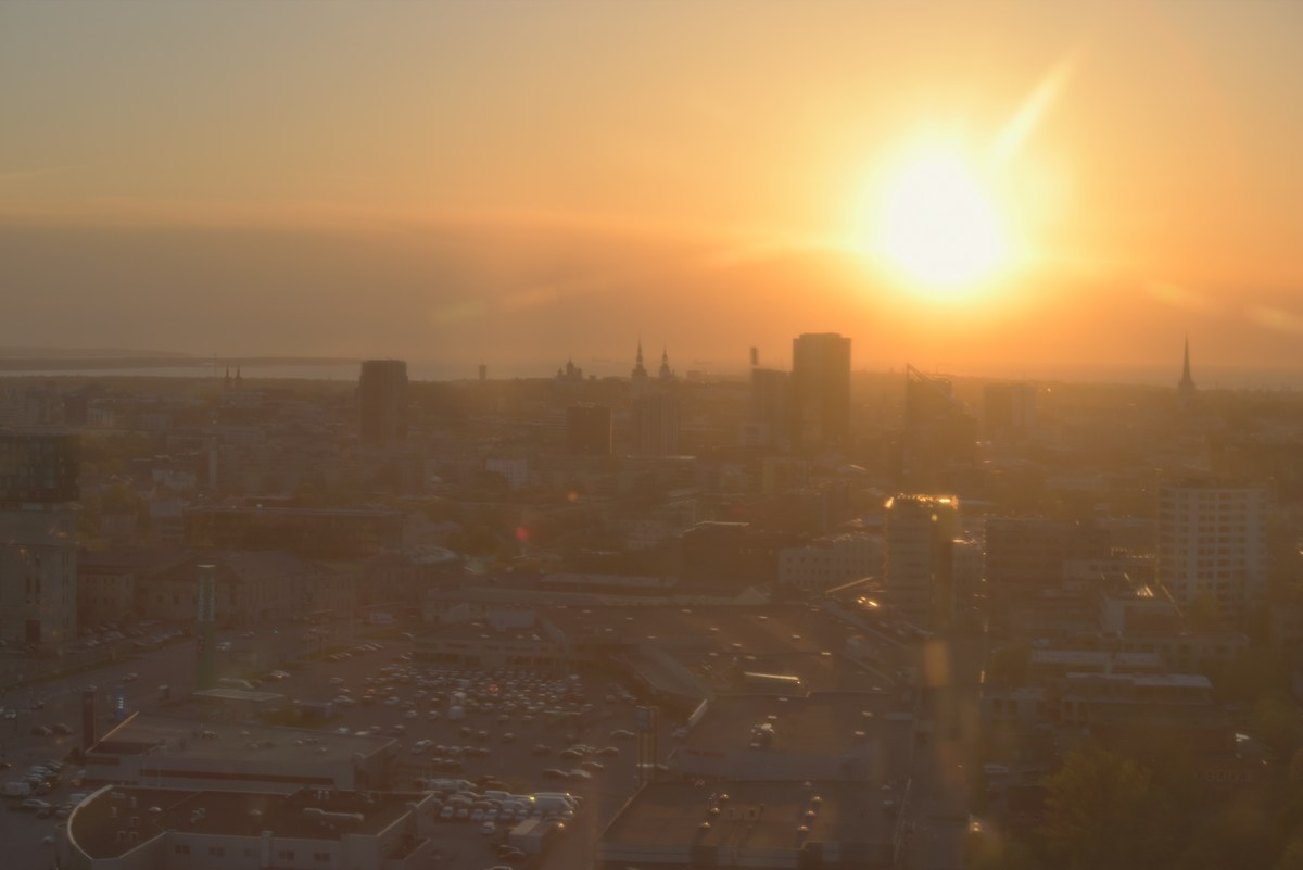  Посещали колесо обозрения на крыше T1.