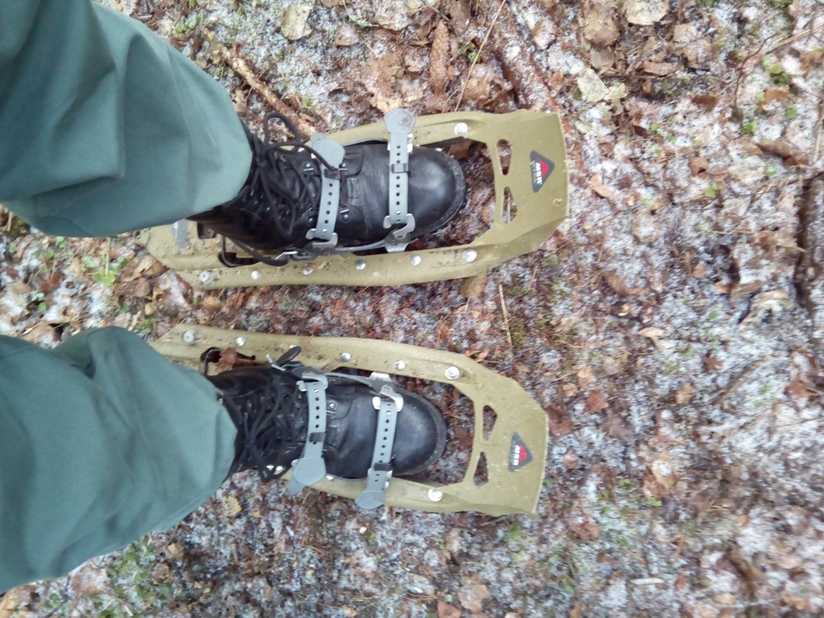 Болотоходы. Прогулка по болоту.