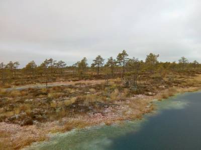 Прогулка по болоту.