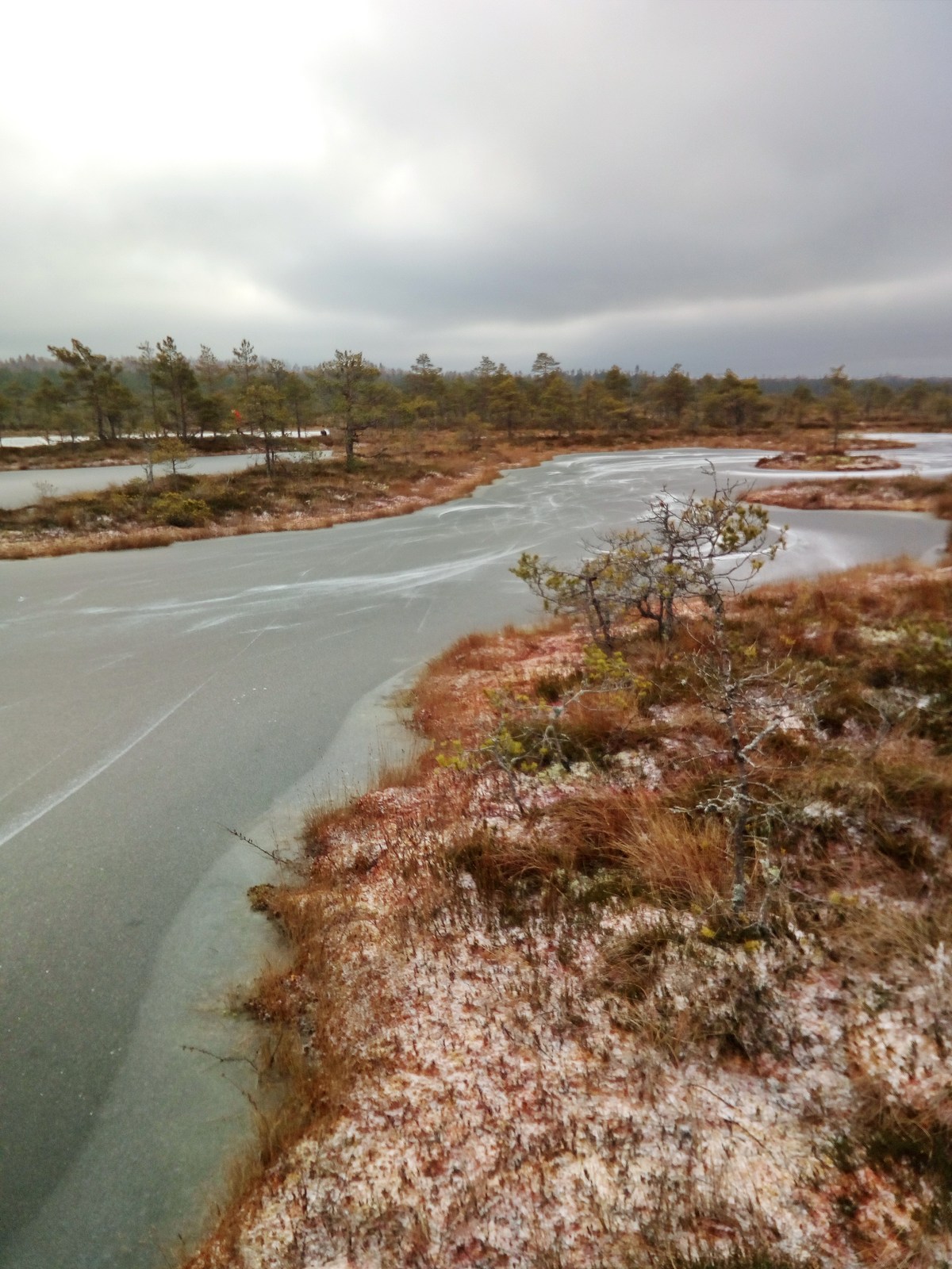  Прогулка по болоту.