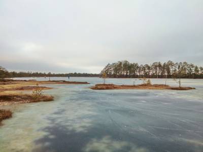 Прогулка по болоту.