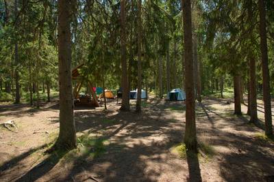 место для костра Ныммевески. Nõmmeveski lõkkekoht