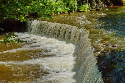 место для костра Ныммевески. Nõmmeveski lõkkekoht