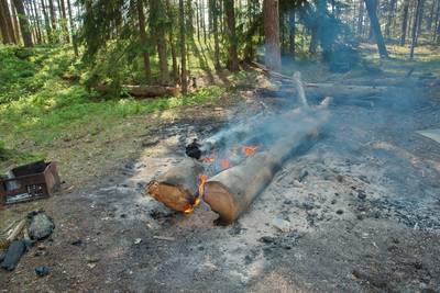 Пикник, пляж Матси. Matsi rand.