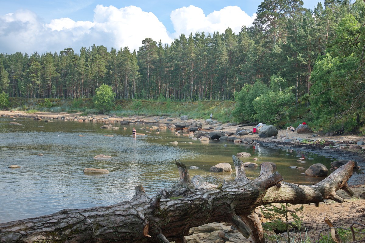  Ночь на Ивана Купала 2021.