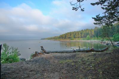 Ночь на Ивана Купала 2021