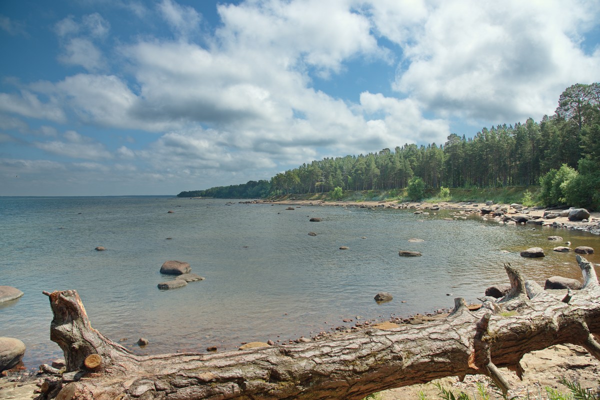  Ночь на Ивана Купала 2021.