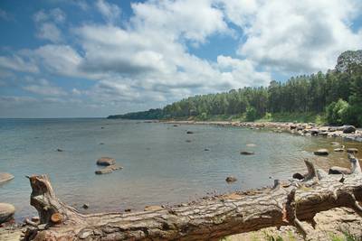 Ночь на Ивана Купала 2021