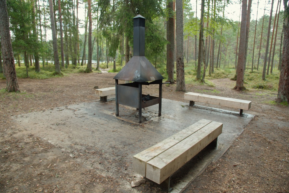  Место для костра паункюла (Paunküla lõkkekoht).