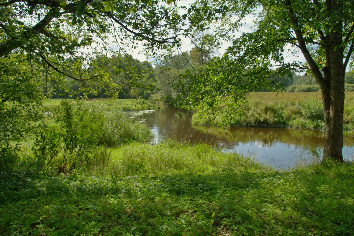  Место для костра Алтметса, Altmetsa lõkkekoht.
