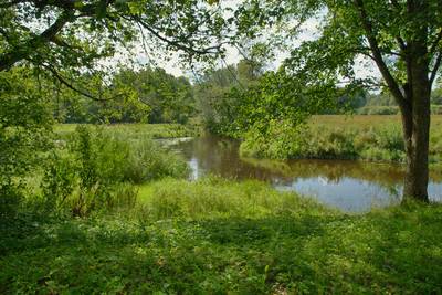Место для костра Алтметса (Altmetsa lõkkekoht).