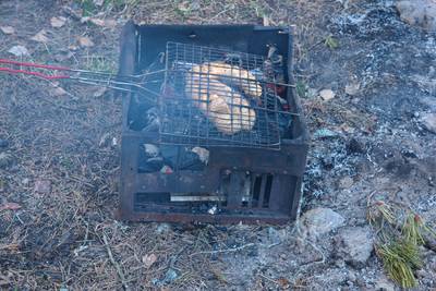 Пикник пляж Матси 2022, весна 