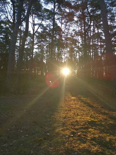 Пикник пляж Матси 2022, весна 