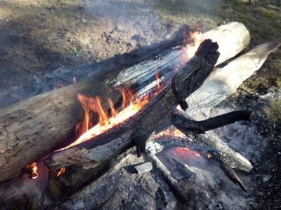 Пикник пляж Матси 2022, весна 