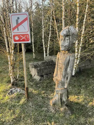 Эстония. Ездили по сельской местности.