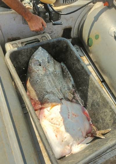 Южный отпуск на чёрном море.