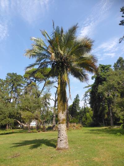 Южный отпуск на чёрном море.