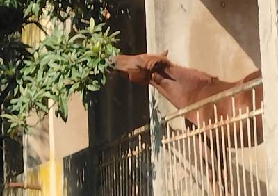 Южный отпуск на чёрном море.