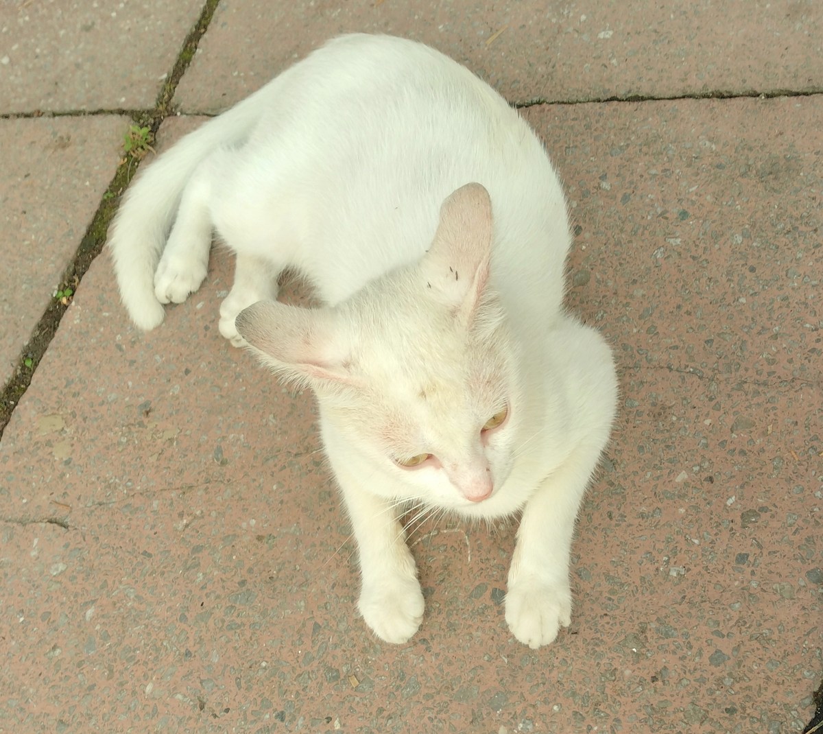  Южный отпуск на чёрном море.