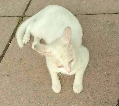 Южный отпуск на чёрном море.