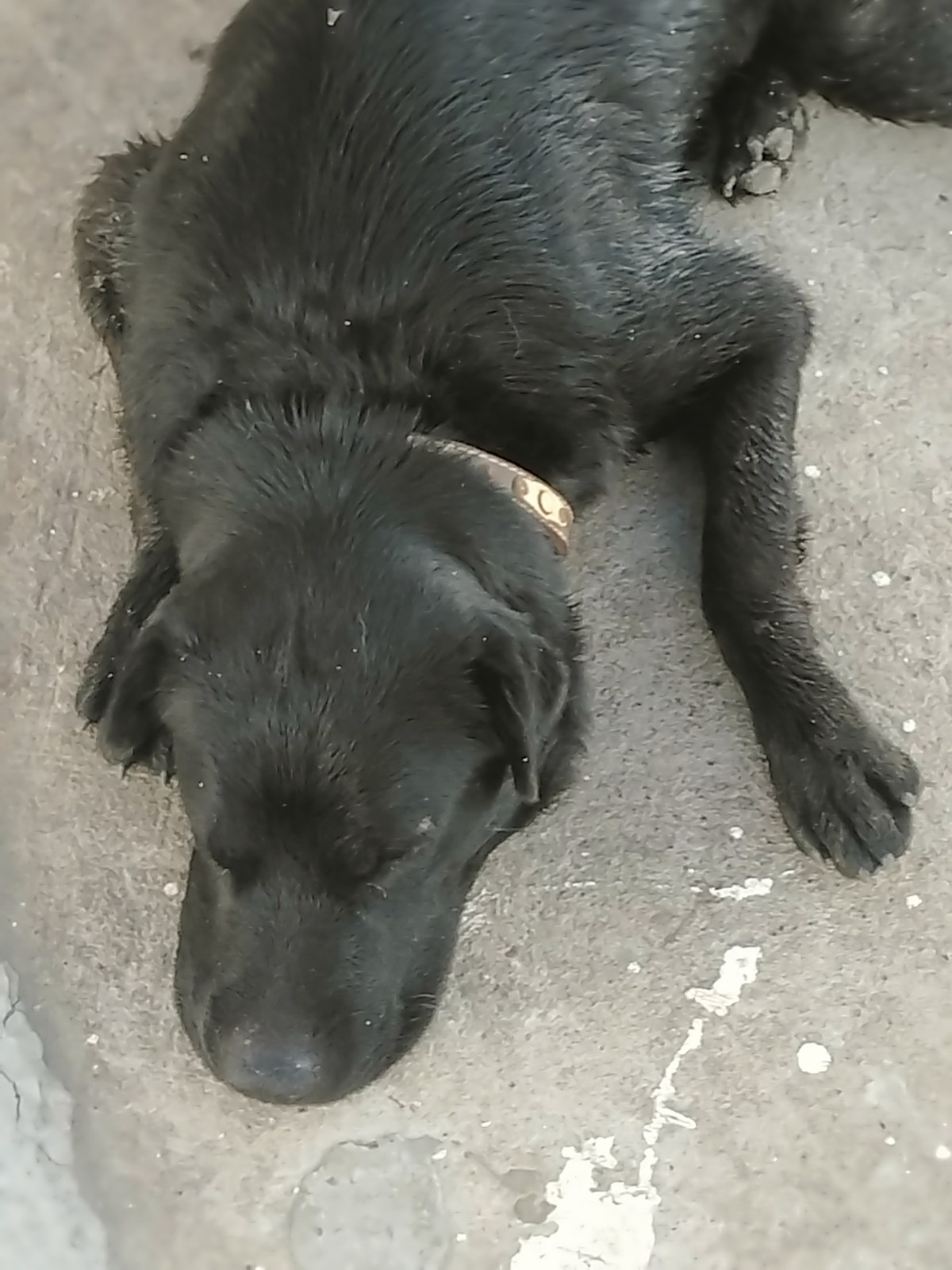  Южный отпуск на чёрном море.