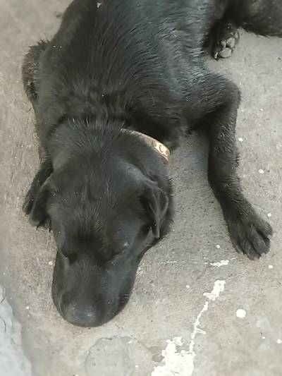 Южный отпуск на чёрном море.