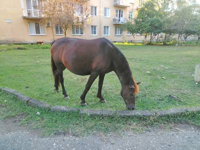 Южный отпуск на чёрном море.