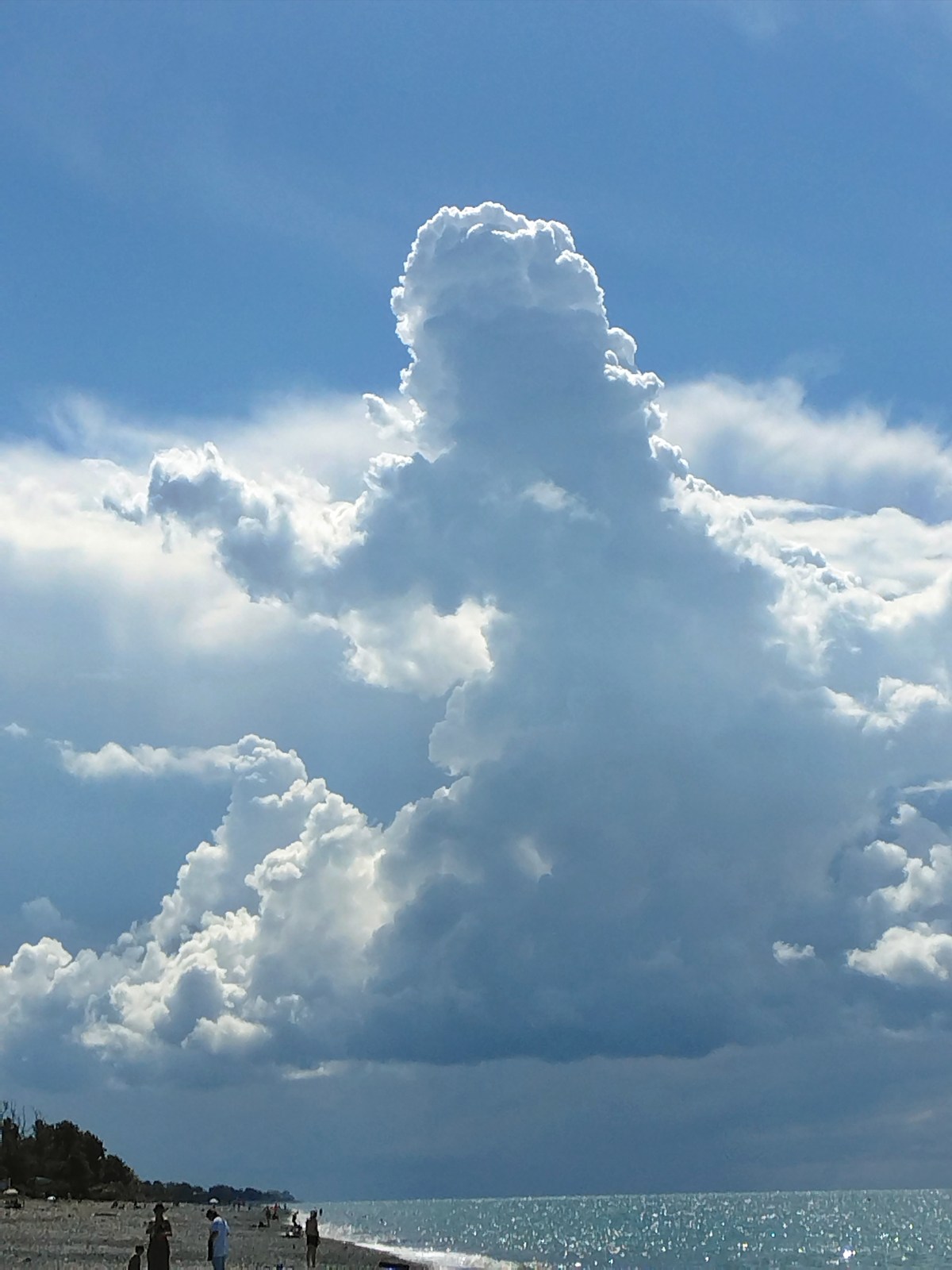  Южный отпуск на чёрном море.