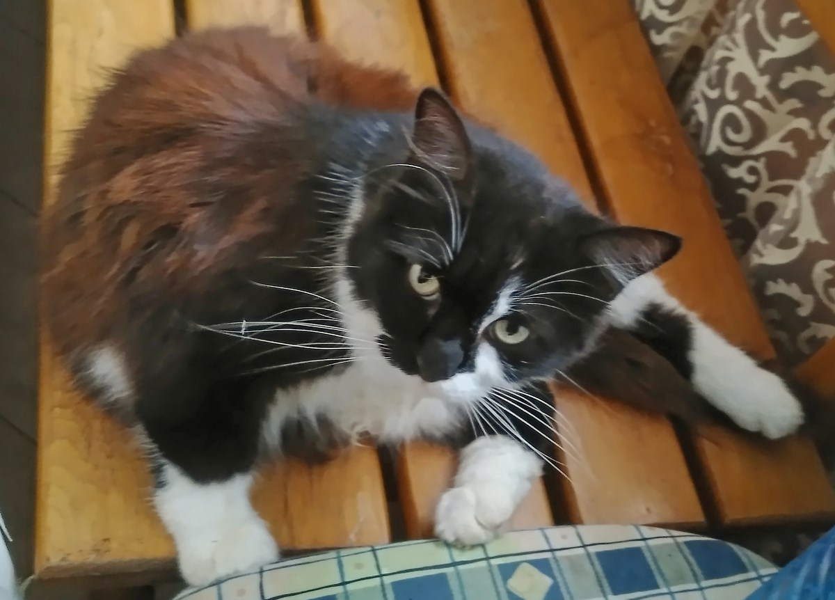  Южный отпуск на чёрном море.