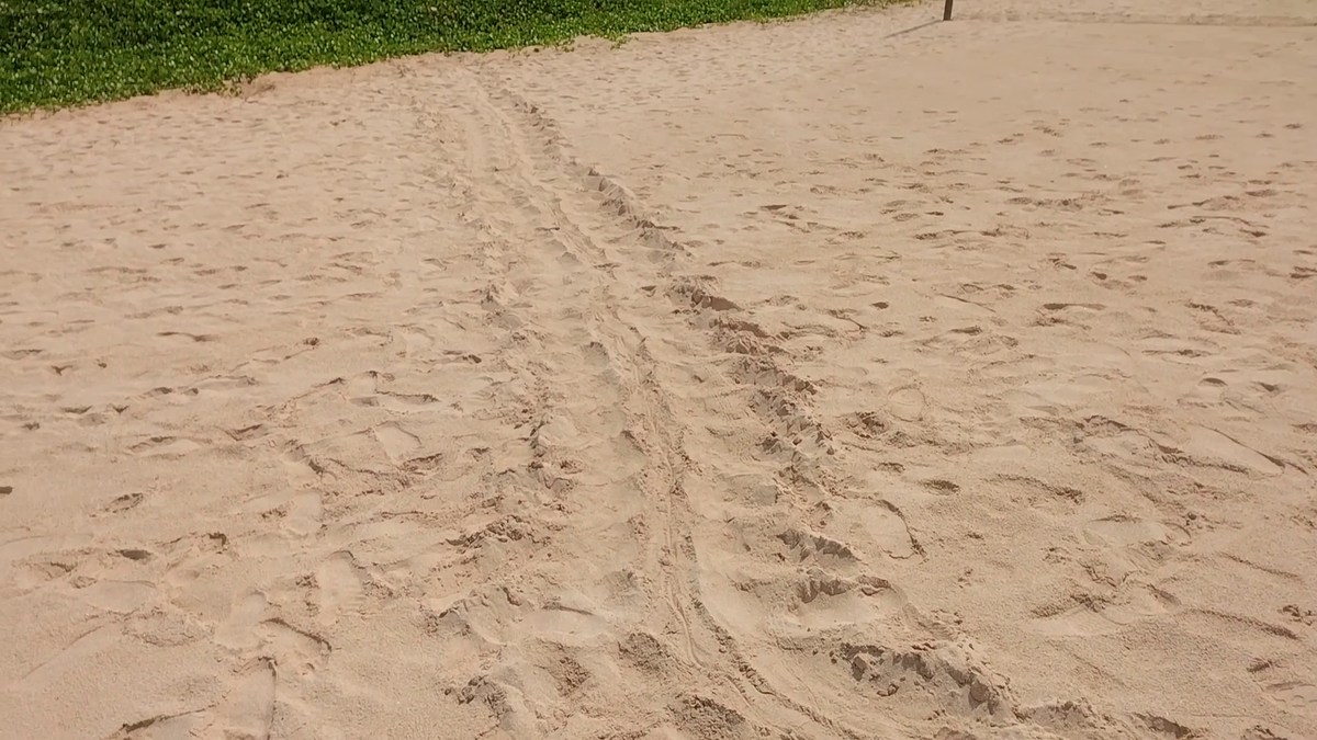  Шри-Ланка. Отпуск на юге. Полная версия.