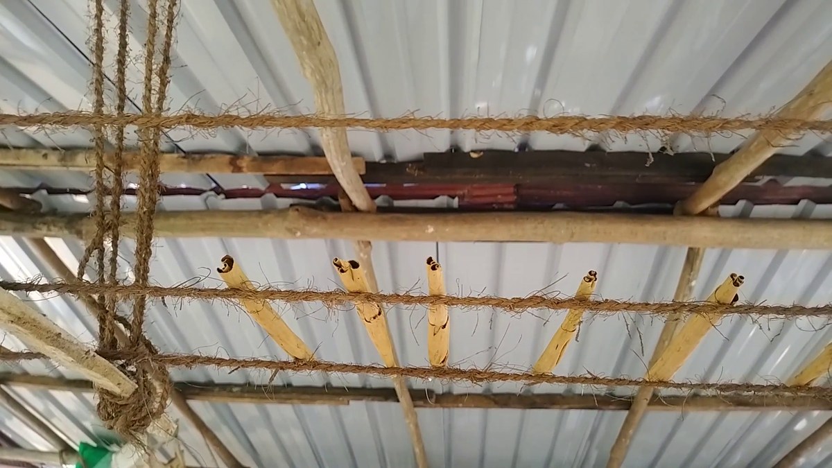  Шри-Ланка. Отпуск на юге. Полная версия.