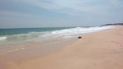 Шри-Ланка. Отпуск на юге. Полная версия. 