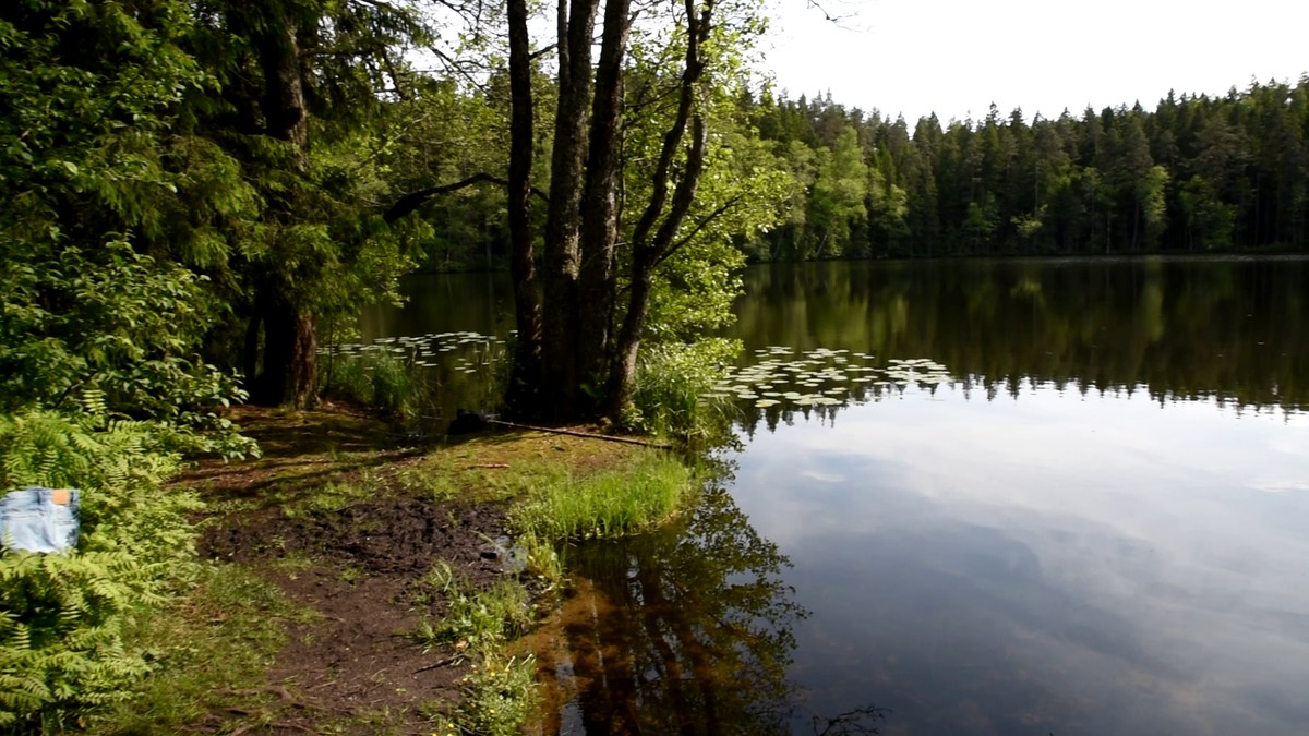  Эстония. Пикниковое место Ярви Пярнярве.